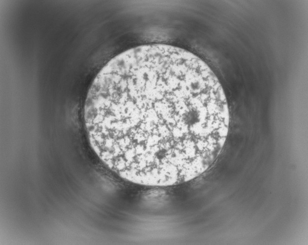 X0000072540162200608111822