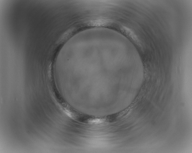 X0000072540163200608111822