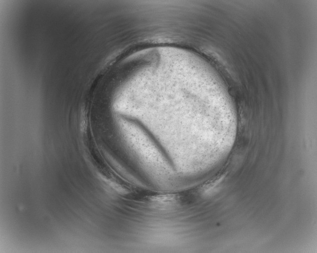 X0000072540164200608111822