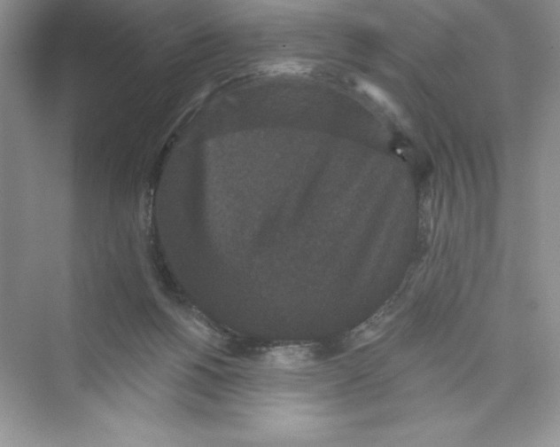 X0000072540168200608111822