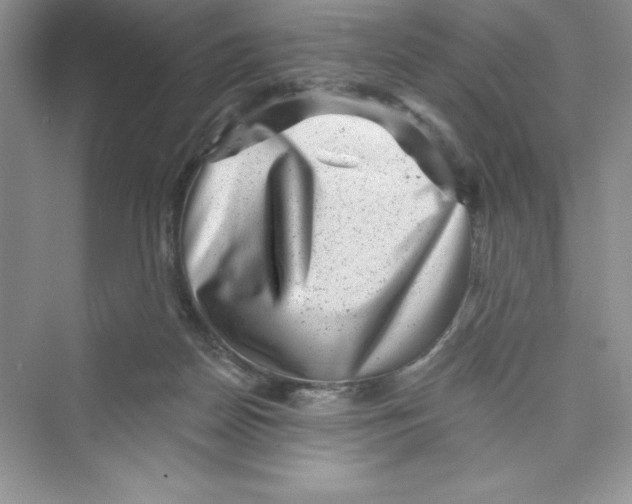 X0000072540170200608111822