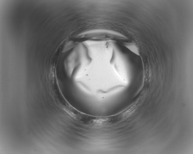 X0000072540172200608111822