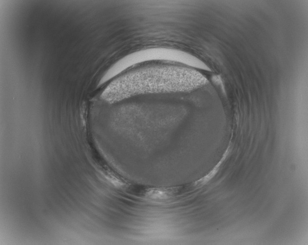 X0000072540174200608111822