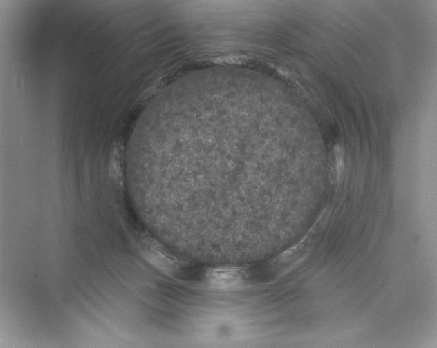 X0000072540175200608111822