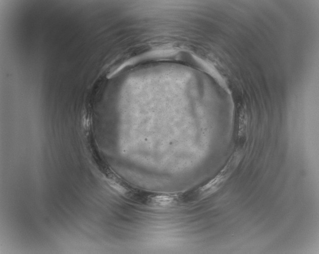 X0000072540176200608111822