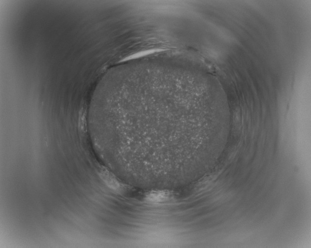 X0000072540177200608111822