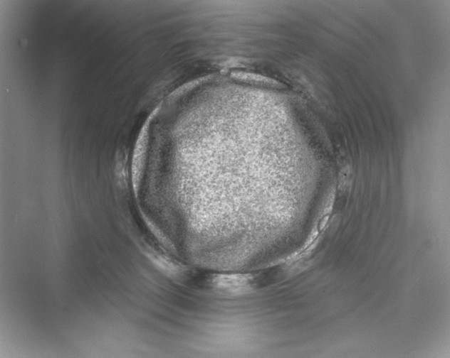 X0000072540179200608111822