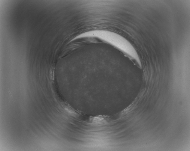 X0000072540180200608111822