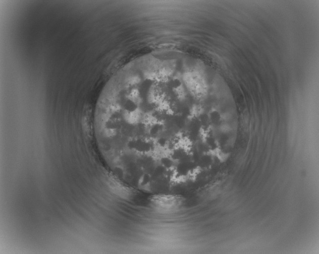 X0000072540181200608111822