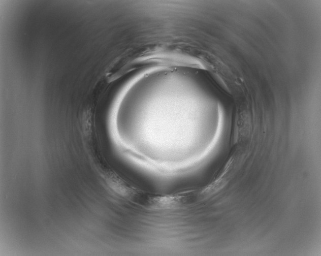 X0000072540184200608111822