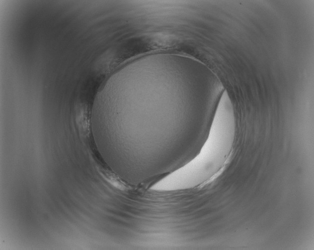 X0000072540186200608111822