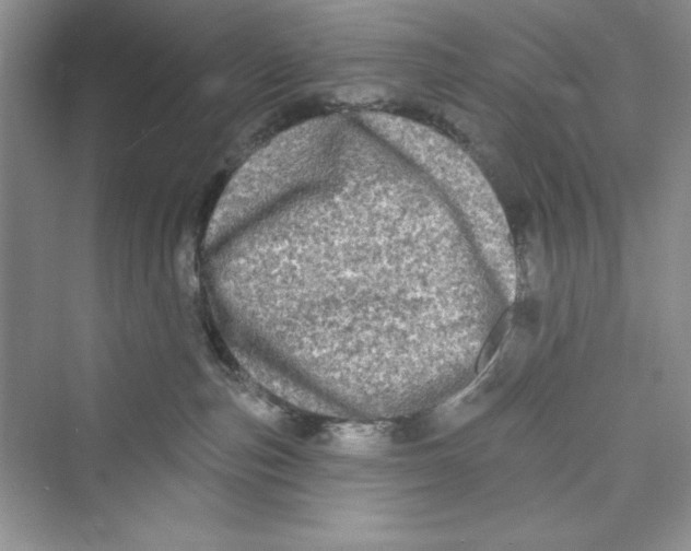 X0000072540187200608111822