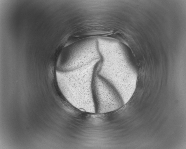 X0000072540188200608111822