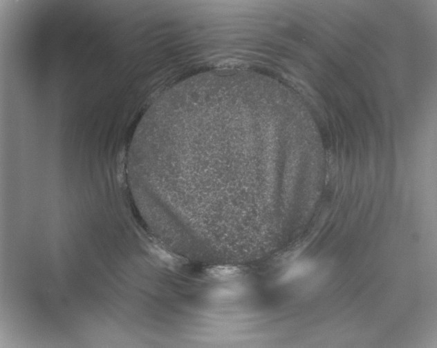 X0000072540189200608111822