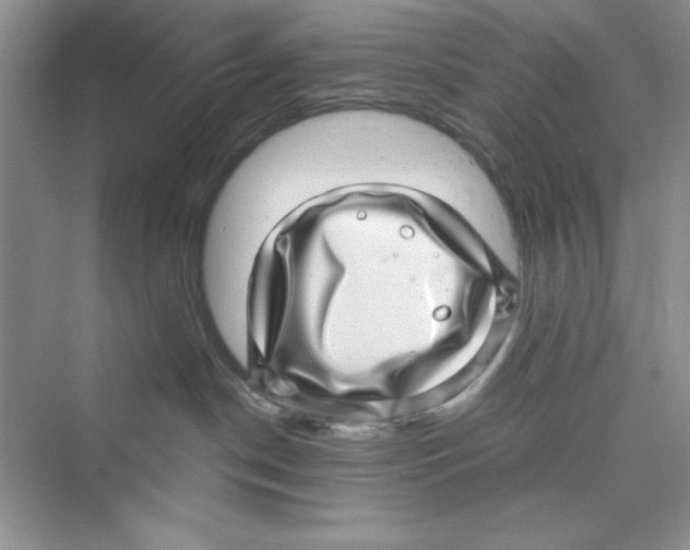 X0000072540190200608111822