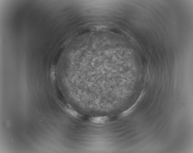 X0000072540191200608111822