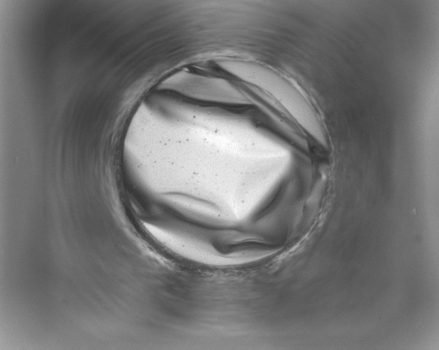 X0000072540193200608111822