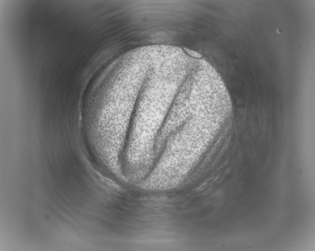 X0000072540194200608111822