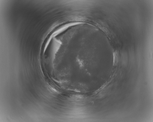 X0000072540195200608111822