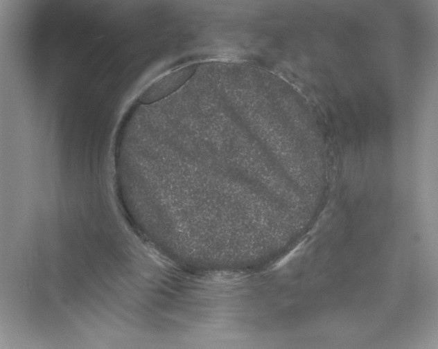 X0000072540198200608111821