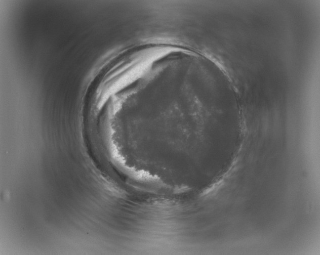 X0000072540199200608111821