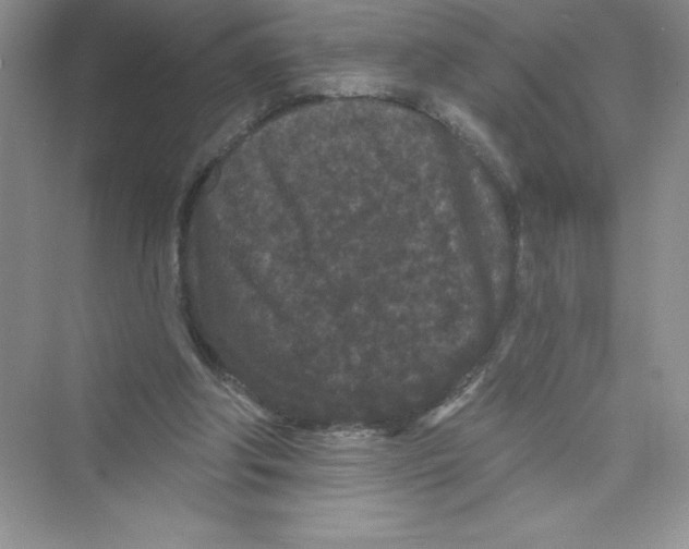 X0000072540202200608111821