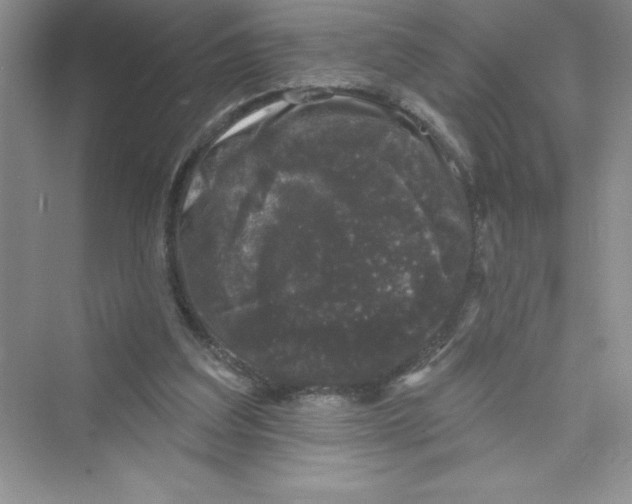 X0000072540203200608111821