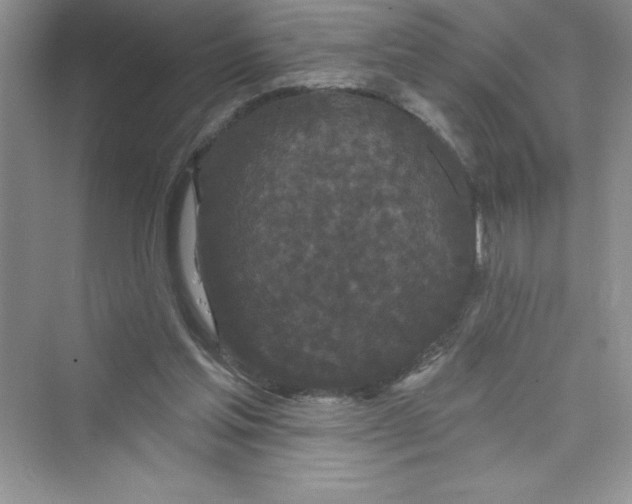 X0000072540205200608111821