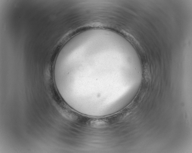 X0000072540208200608111821