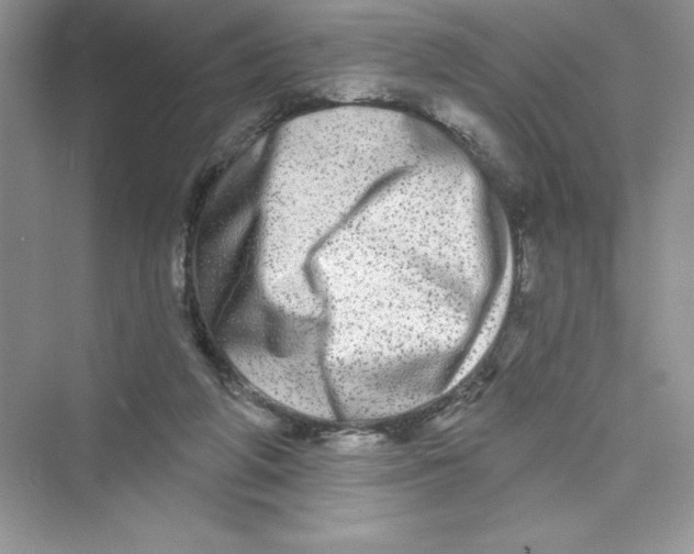 X0000072540210200608111821