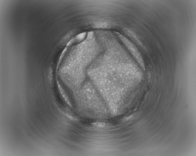 X0000072540211200608111821