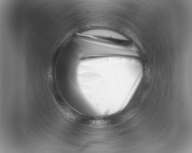 X0000072540212200608111821