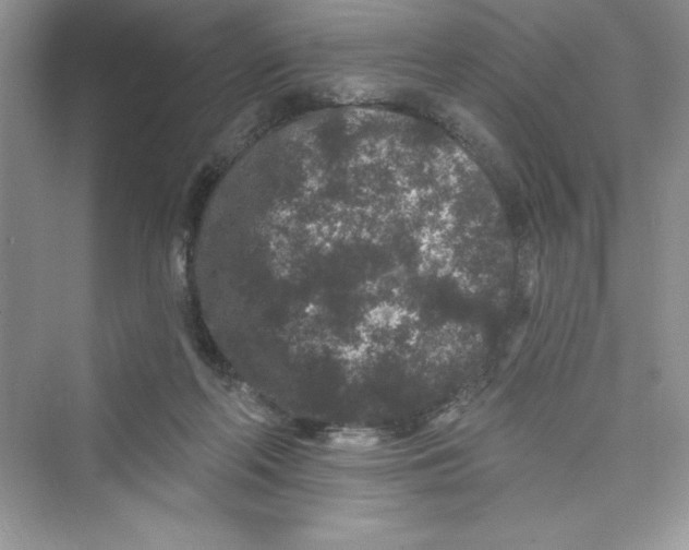 X0000072540214200608111821