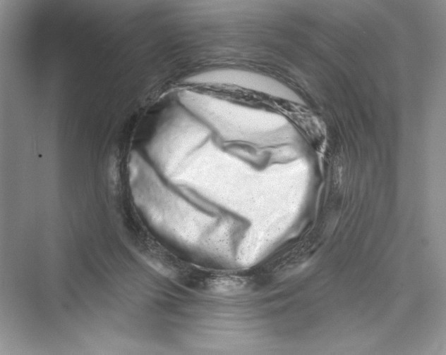 X0000072540215200608111821