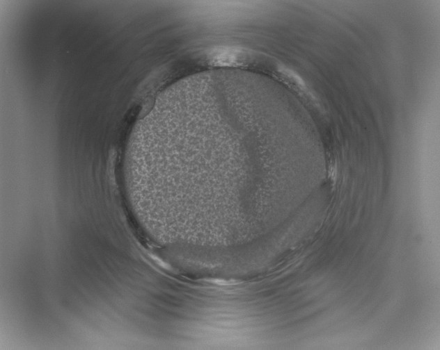 X0000072540217200608111821