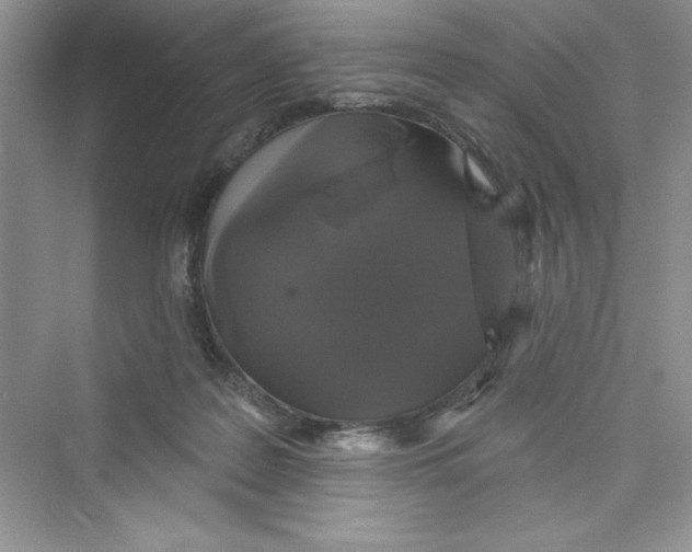 X0000072540219200608111821