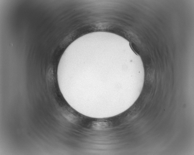 X0000072540220200608111821