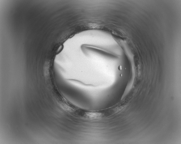 X0000072540221200608111821