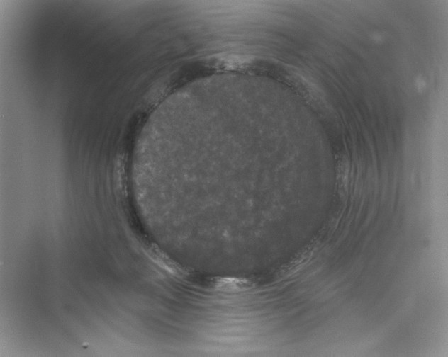 X0000072540222200608111821