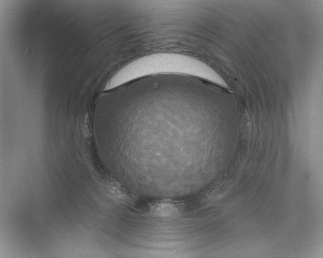 X0000072540224200608111821