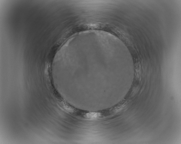 X0000072540225200608111821