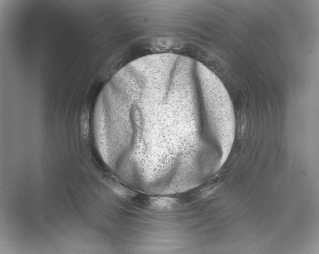 X0000072540226200608111821