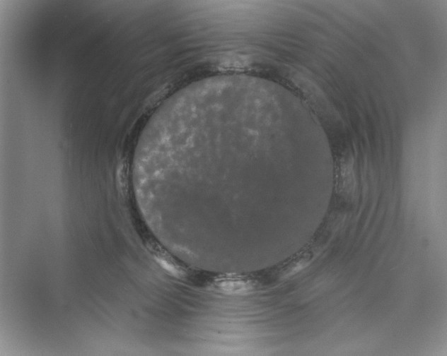 X0000072540228200608111821