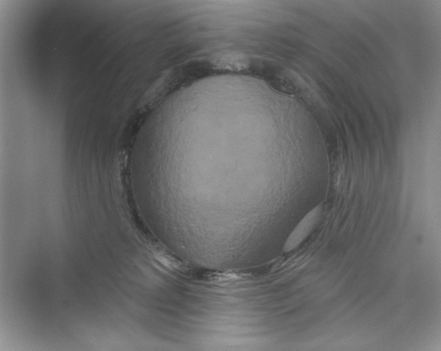 X0000072540229200608111821