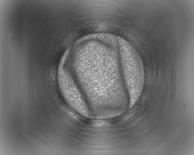 X0000072540230200608111821