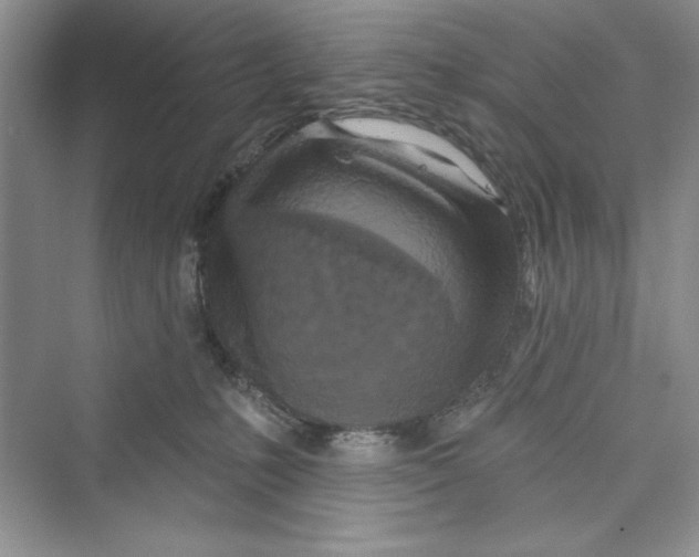 X0000072540231200608111821