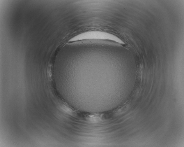 X0000072540232200608111821