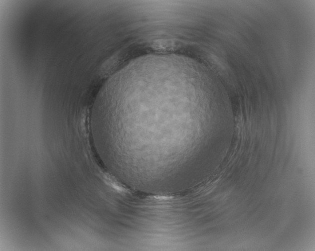 X0000072540233200608111821