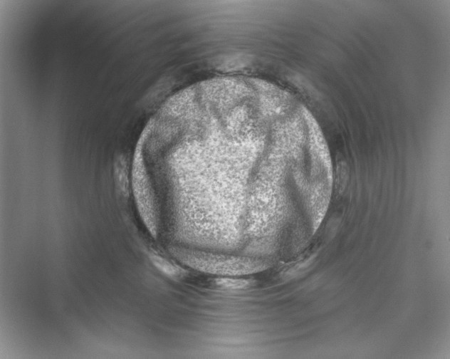 X0000072540234200608111821