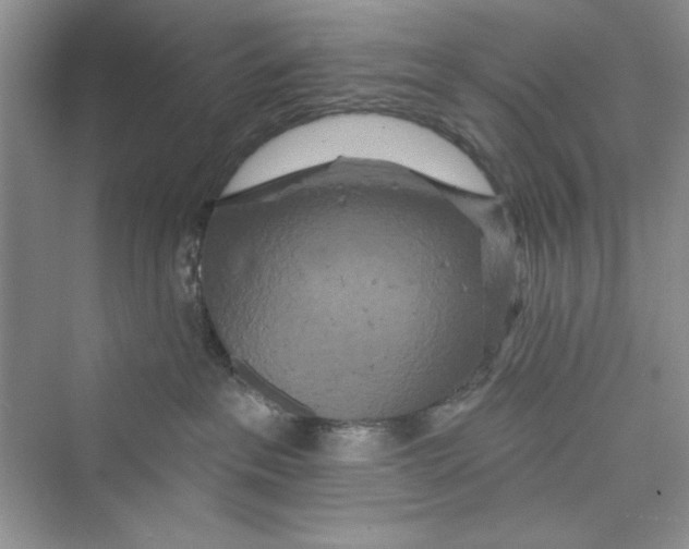 X0000072540237200608111821